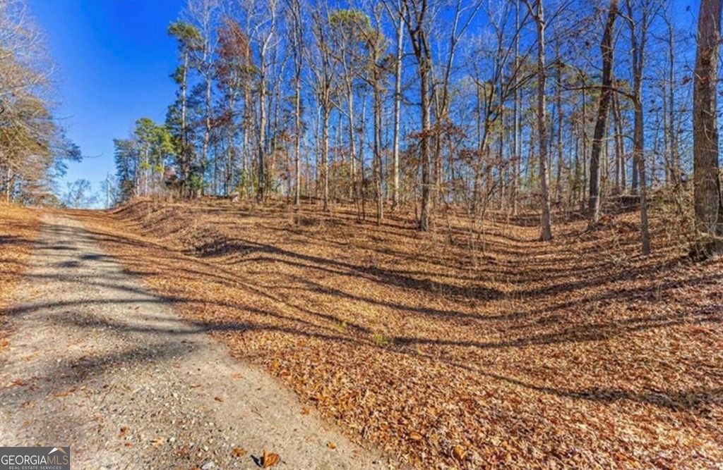 0 Mountain View Road, Lavonia, GA 30553 — photo 2