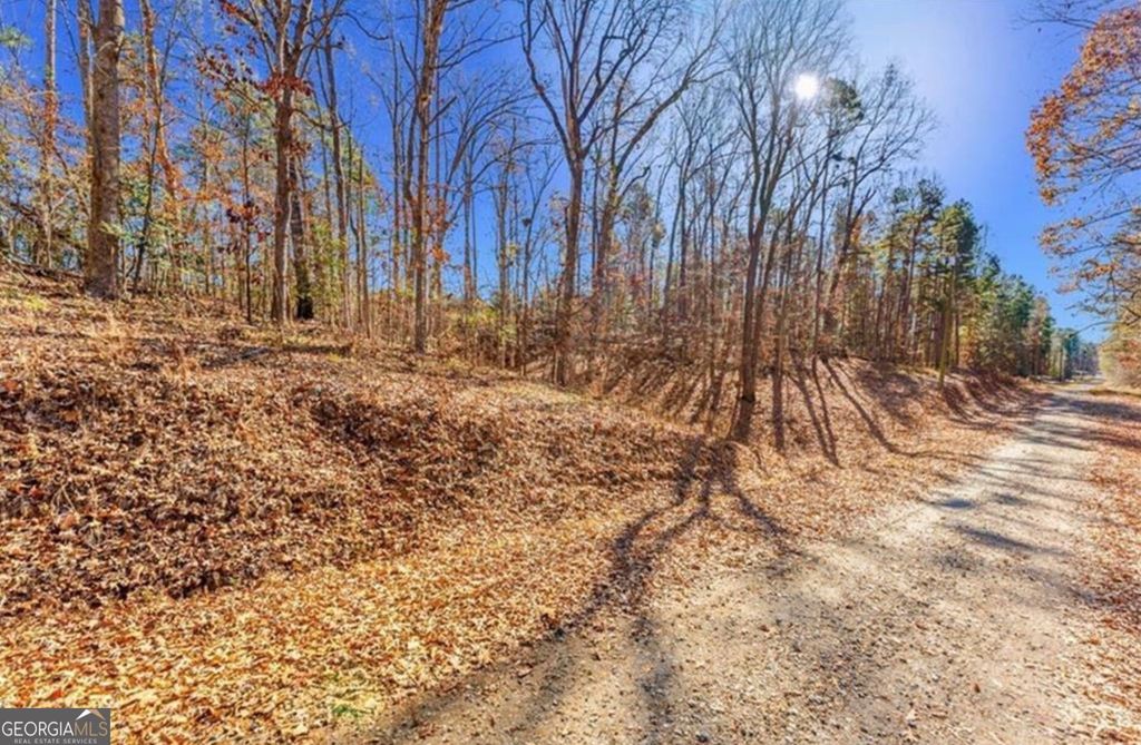 0 Mountain View Road, Lavonia, GA 30553 — photo 3