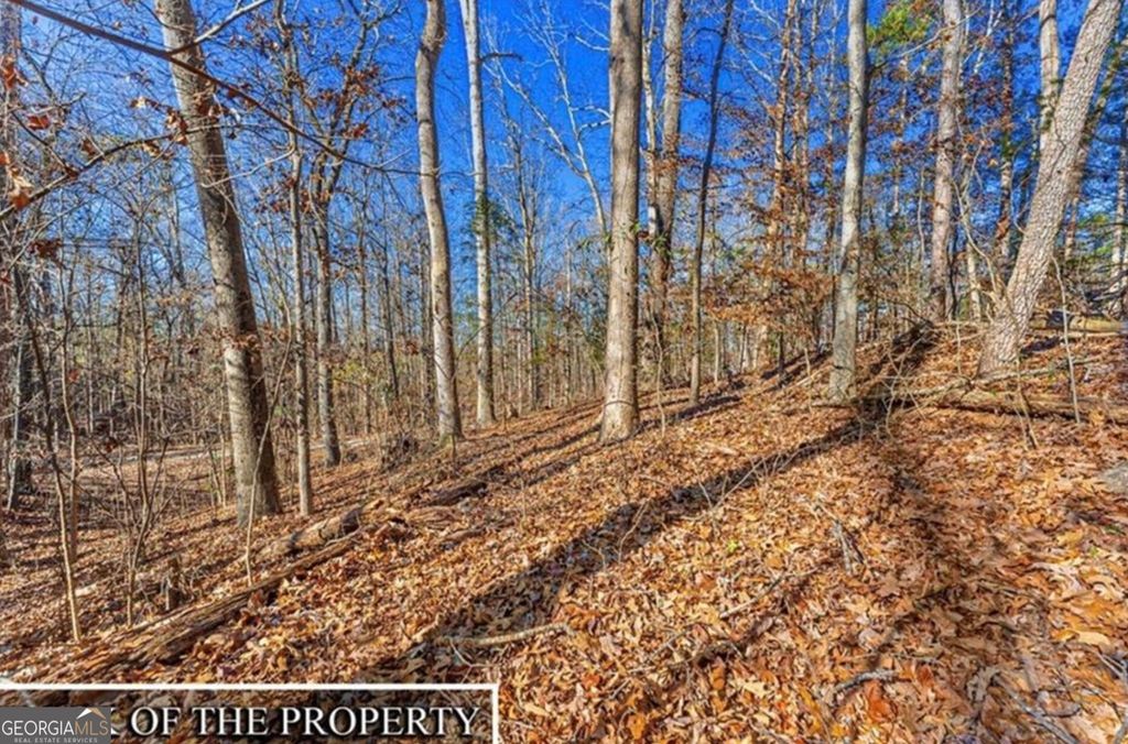 0 Mountain View Road, Lavonia, GA 30553 — photo 5