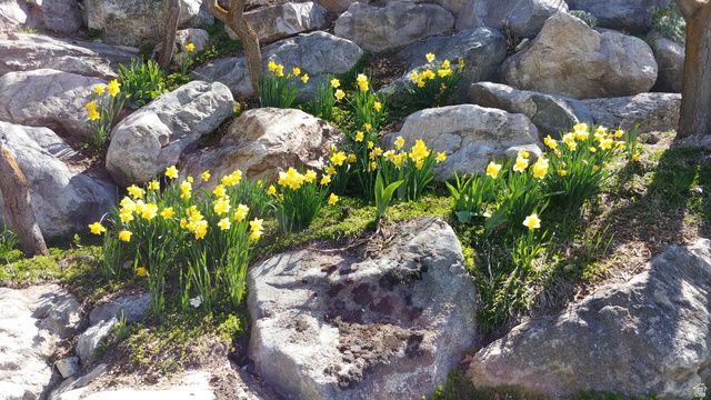 2894 N VIEWCREST CIR, North Logan, UT 84341