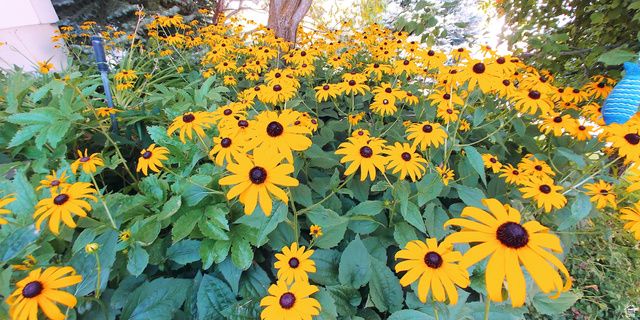 2894 N VIEWCREST CIR, North Logan, UT 84341