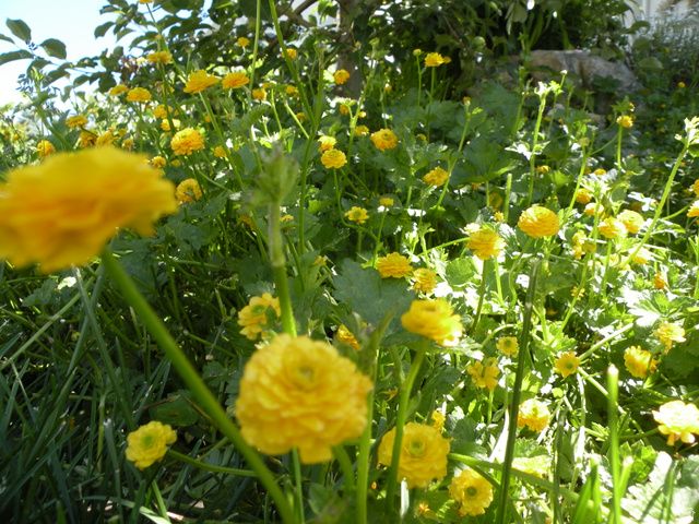 2894 N VIEWCREST CIR, North Logan, UT 84341