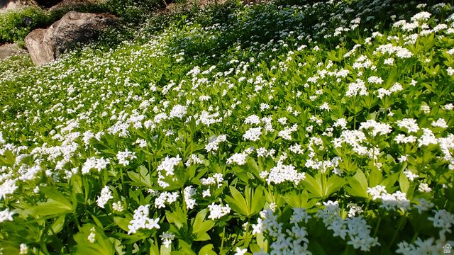 2894 N VIEWCREST CIR, North Logan, UT 84341