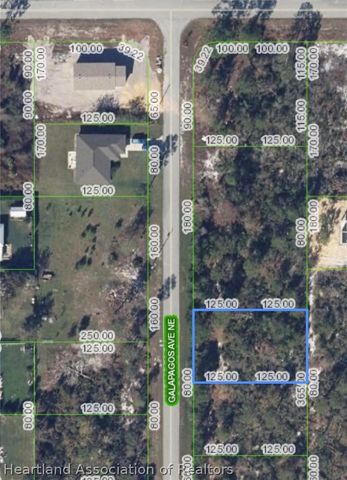 TBD Galapagos Avenue NE, Lake Placid, FL 33852