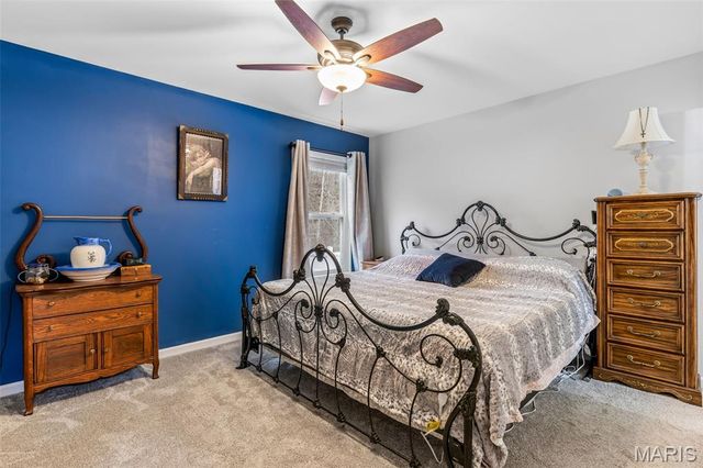 313 Andy Habsieger Street, Festus, MO 63028