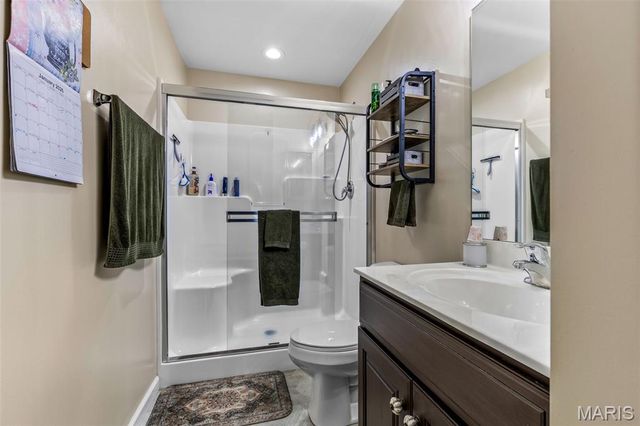 313 Andy Habsieger Street, Festus, MO 63028