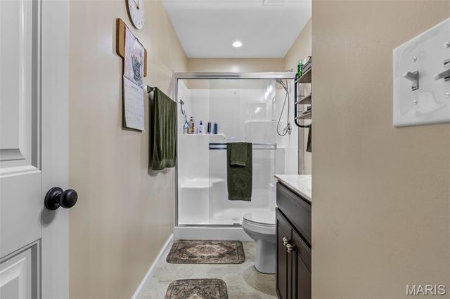 313 Andy Habsieger Street, Festus, MO 63028