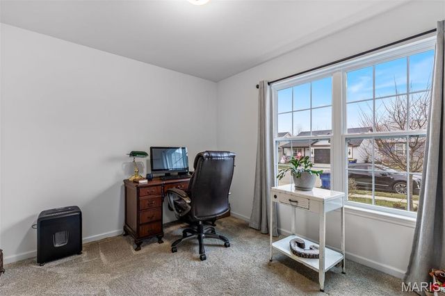 313 Andy Habsieger Street, Festus, MO 63028