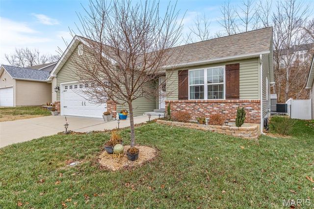 313 Andy Habsieger Street, Festus, MO 63028