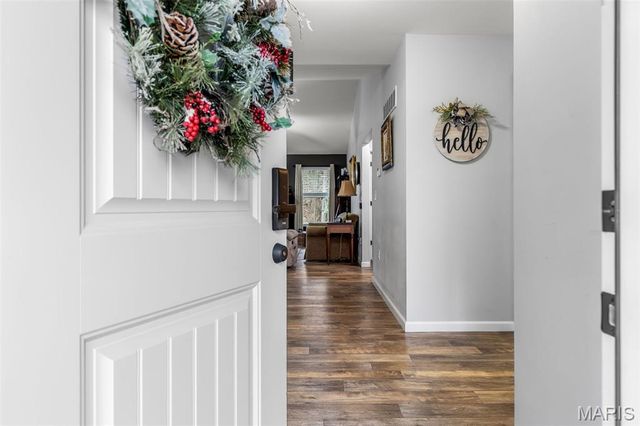 313 Andy Habsieger Street, Festus, MO 63028