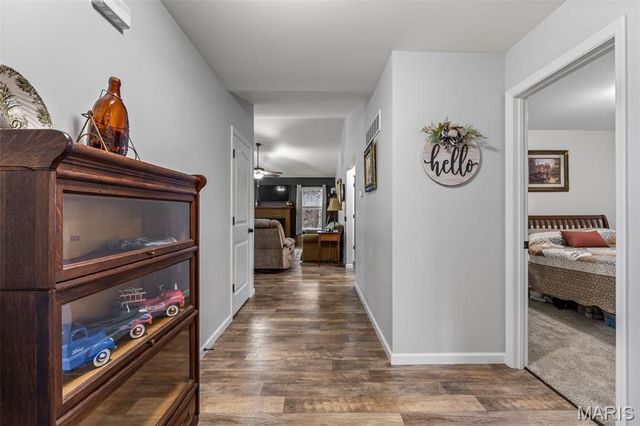 313 Andy Habsieger Street, Festus, MO 63028