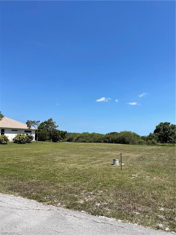 18529 Royal Hammock BLVD, NAPLES, FL 34114 — photo 3