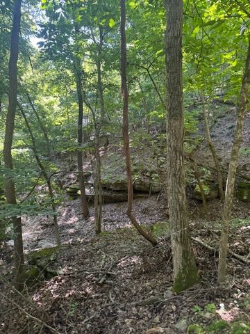 190 Edgewater Drive, Eureka Springs, AR 72631