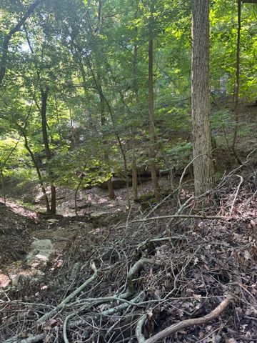 190 Edgewater Drive, Eureka Springs, AR 72631