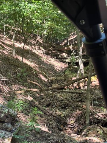 190 Edgewater Drive, Eureka Springs, AR 72631