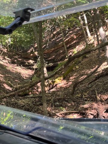 190 Edgewater Drive, Eureka Springs, AR 72631