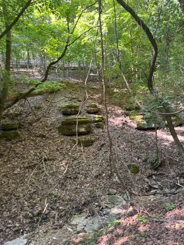 190 Edgewater Drive, Eureka Springs, AR 72631