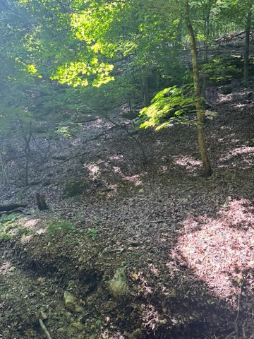 190 Edgewater Drive, Eureka Springs, AR 72631