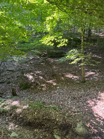 190 Edgewater Drive, Eureka Springs, AR 72631