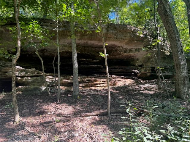 190 Edgewater Drive, Eureka Springs, AR 72631