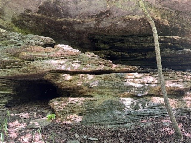 190 Edgewater Drive, Eureka Springs, AR 72631