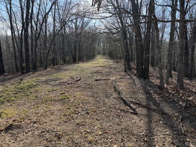 190 Edgewater Drive, Eureka Springs, AR 72631