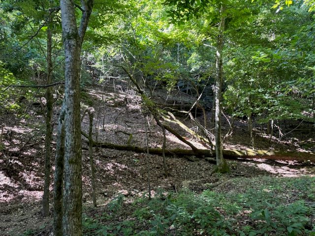 190 Edgewater Drive, Eureka Springs, AR 72631