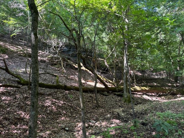 190 Edgewater Drive, Eureka Springs, AR 72631