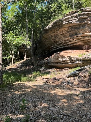 190 Edgewater Drive, Eureka Springs, AR 72631