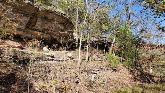 190 Edgewater Drive, Eureka Springs, AR 72631