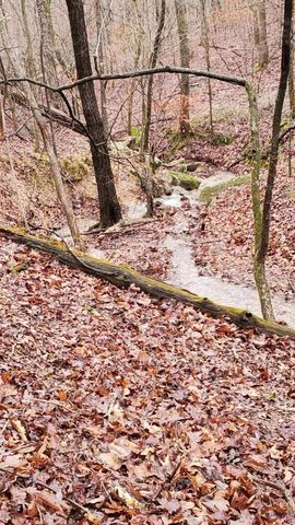 190 Edgewater Drive, Eureka Springs, AR 72631