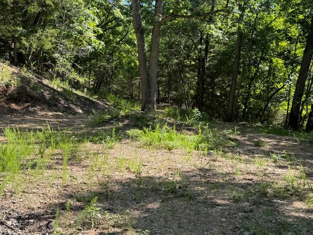 190 Edgewater Drive, Eureka Springs, AR 72631