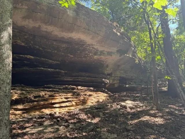 190 Edgewater Drive, Eureka Springs, AR 72631