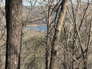 190 Edgewater Drive, Eureka Springs, AR 72631