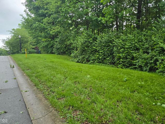 9895 Irishmans Run Lane, Zionsville, IN 46077