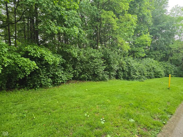 9895 Irishmans Run Lane, Zionsville, IN 46077