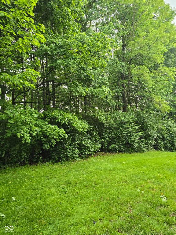 9895 Irishmans Run Lane, Zionsville, IN 46077