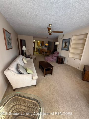 1108 Tulip Street, Grand Ledge, MI 48837