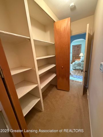 1108 Tulip Street, Grand Ledge, MI 48837