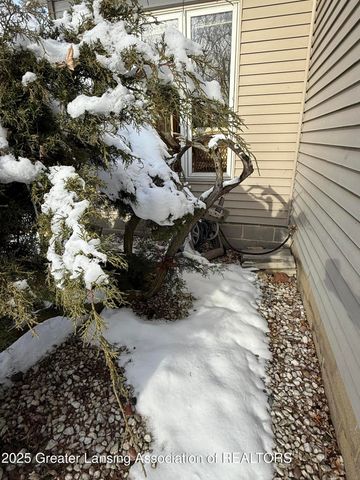 1108 Tulip Street, Grand Ledge, MI 48837