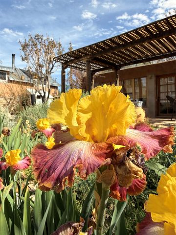 48 Main, Cerrillos, NM 87010