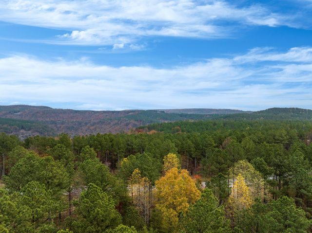 1155 Buck Crossing Drive 1017, Guild, TN 37340