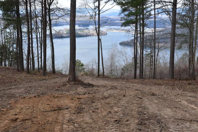 1155 Buck Crossing Drive 1017, Guild, TN 37340