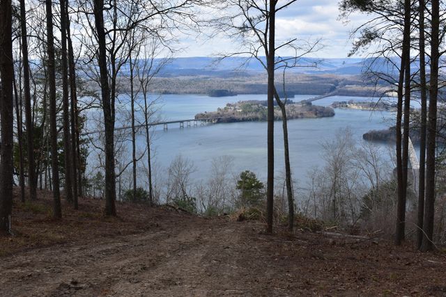 1155 Buck Crossing Drive 1017, Guild, TN 37340