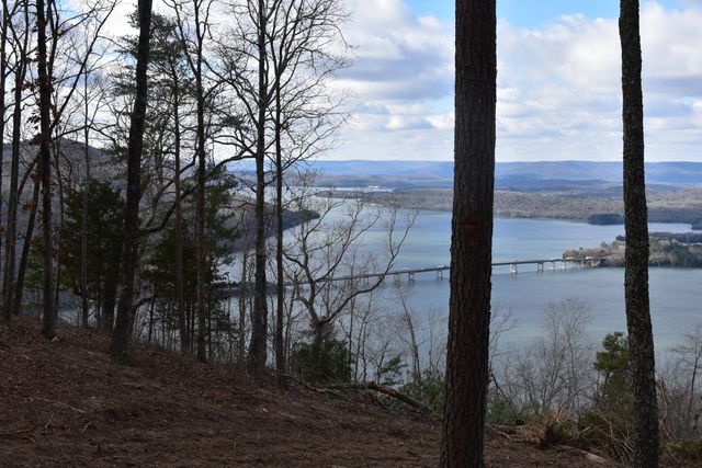 1155 Buck Crossing Drive 1017, Guild, TN 37340