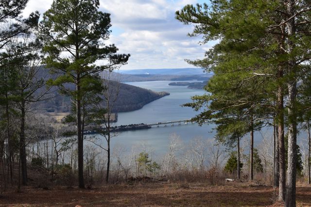 1155 Buck Crossing Drive 1017, Guild, TN 37340