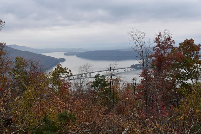 1155 Buck Crossing Drive 1017, Guild, TN 37340