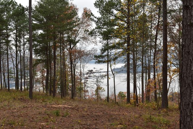 1155 Buck Crossing Drive 1017, Guild, TN 37340