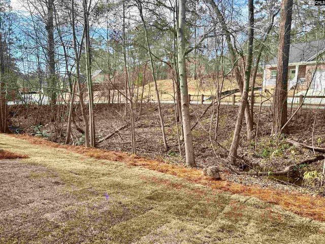 205 Quiet Side Court, Blythewood, SC 29016