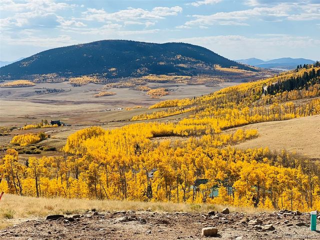 2861 High Creek Road, Fairplay, CO 80440